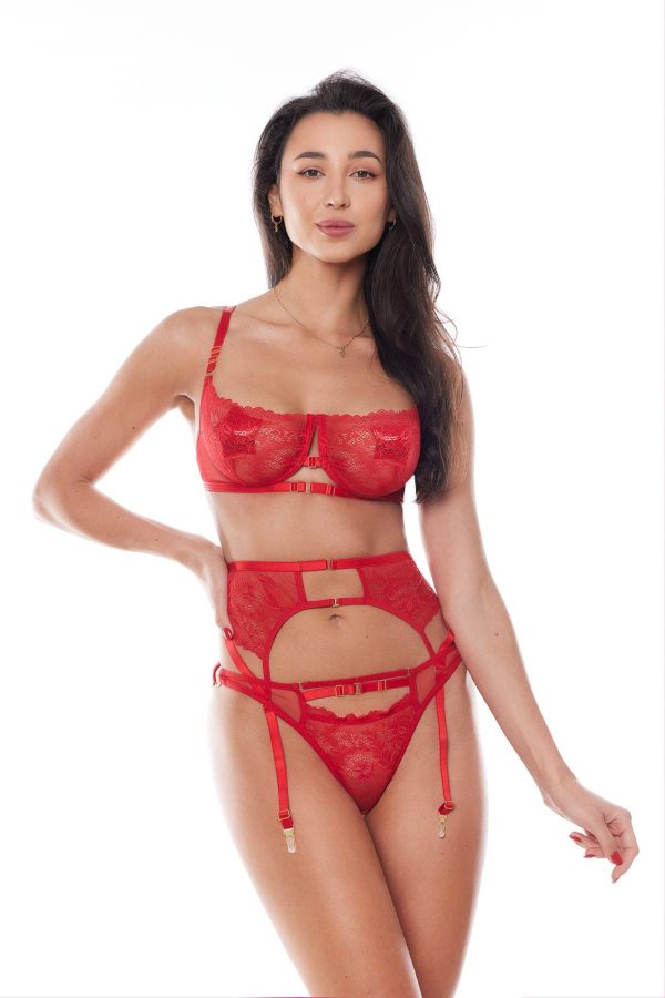 AMOURA SET RED (bra,belt,string/biustonosz,pas,stringi)